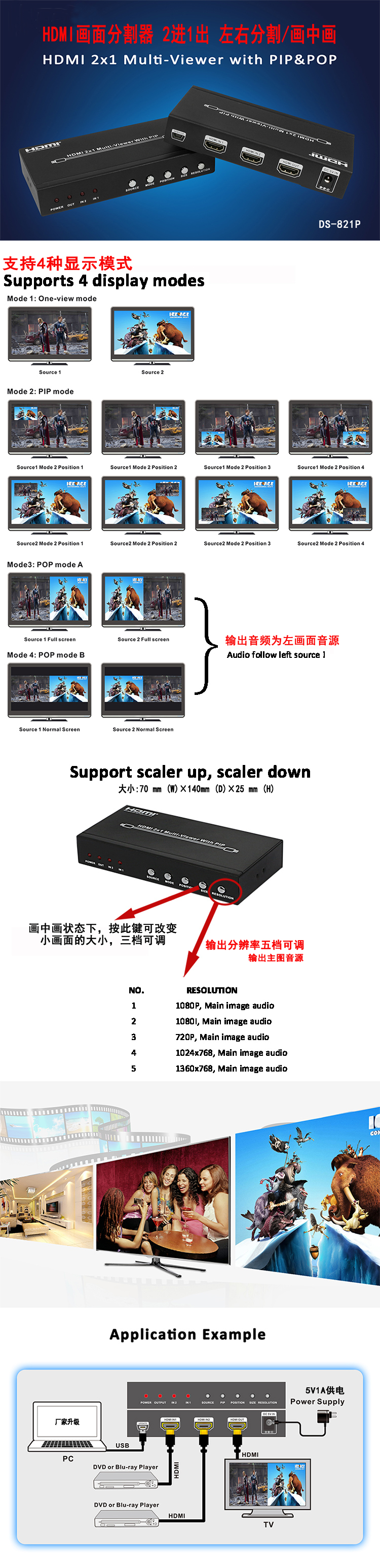 DS-821P副本